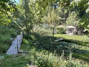 This is the neighbor's yard to the South, just to show an example of what you could do with this home with a bridge across the creek.  There is a good amount of land on the other side of the creek.