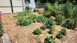 Seasonal view of garden.