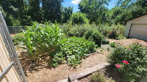 Seasonal view of garden.