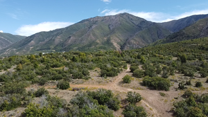 View of mountain background