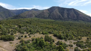 View of mountain backdrop featuring a heavily wooded area