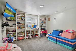 Rec room featuring carpet floors and a textured ceiling