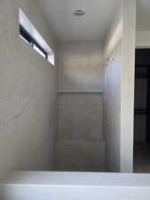 niche in primary shower.