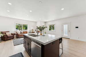 Kitchen with a sink, dishwasher, plenty of natural light, light countertops, and recessed lighting