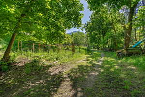 View of yard and driving path to garage