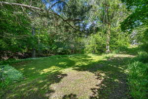 View of grassy yard featuring a view of trees