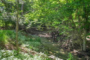 Creek on the back level of the property
