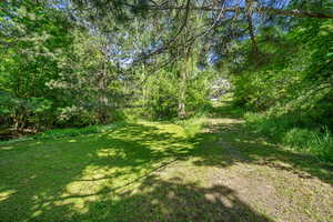 View of green lawn
