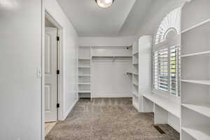 Spacious closet featuring carpet