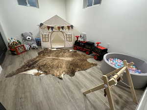 Recreation room featuring wood finished floors