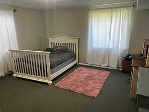 Bedroom with carpet, multiple windows, and a textured ceiling