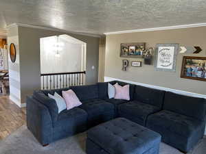 Living area with ornamental molding, wood finished floors, a chandelier, and a textured ceiling