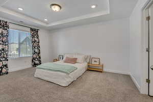Carpeted bedroom with a raised ceiling, baseboards, and recessed lighting