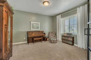 Sitting room with carpet, baseboards, and a textured ceiling
