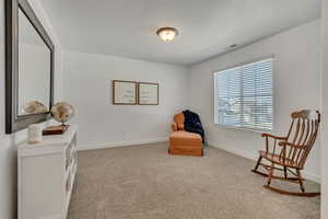 Sitting room with carpet flooring, a textured ceiling, and baseboards