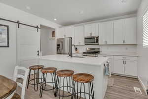 Kitchen with stainless steel appliances, a sink, light wood-style flooring, a barn door, and an island with sink
