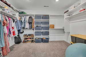 Spacious closet with carpet