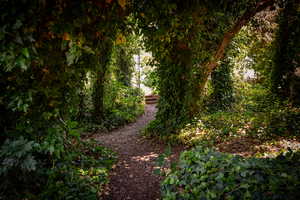 Travel down this Shady pathway through the trees to the Sports Court! Just imagine how the kids will love this magical area in the trees!