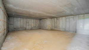 View of unfinished basement