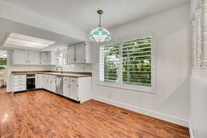 Kitchen with stainless steel dishwasher, baseboards, dark wood finished floors, and a sink