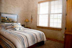 Carpeted bedroom with wallpapered walls