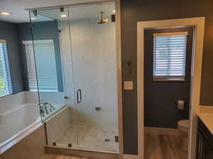 Bathroom with vanity, a stall shower, plenty of natural light, and a garden tub