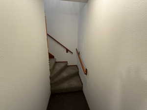 Stairs with carpet floors