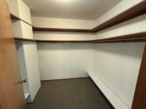 Walk in closet with carpet floors