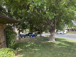View of green lawn