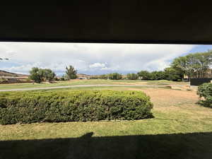View of grassy yard