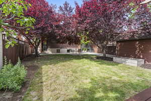 View of yard with a patio