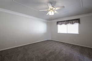Carpeted spare room featuring crown molding, ceiling fan, and baseboards