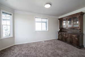 Carpeted empty room with plenty of natural light, crown molding, baseboards, and a textured ceiling