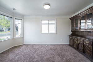 Carpeted spare room featuring crown molding, baseboards, and a textured ceiling