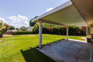 View of yard featuring a patio