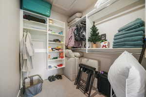 Spacious closet featuring carpet floors and attic access