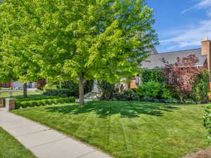 View of green lawn