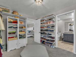 Spacious closet with a sink and carpet flooring