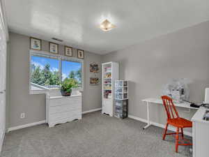 Office featuring carpet, baseboards, and a textured ceiling