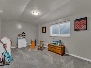 Recreation room with lofted ceiling, a textured ceiling, carpet, and baseboards