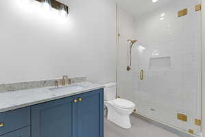 Full bathroom with toilet, vanity, and a shower stall