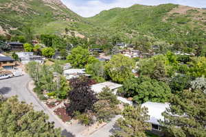 Bird's eye view of mountains