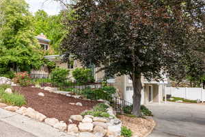 View of property hidden behind natural elements featuring concrete driveway