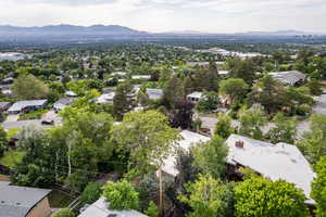Bird's eye view of a mountainous background