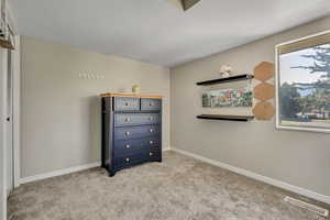 Bedroom featuring multiple windows, light colored carpet, and baseboards
