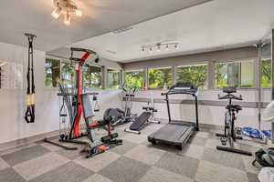 Gym with healthy amount of natural light, carpet, and baseboards