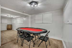 Rec room featuring light carpet, baseboards, and a textured ceiling