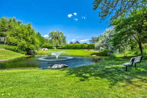 Water view