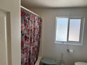 Bathroom featuring plenty of natural light, curtained shower, and toilet