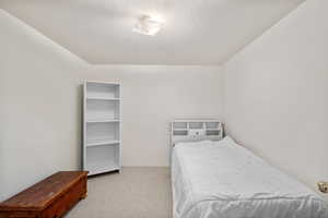 Carpeted bedroom with a textured ceiling
